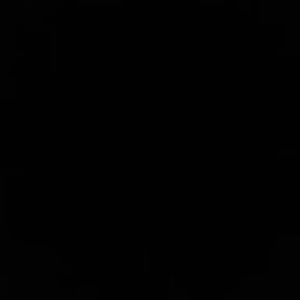 Meet your Posher, Audrey